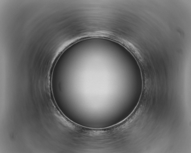 X0000111191184200907081250