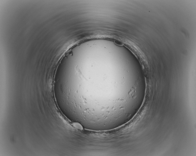 X0000111191185200907081250