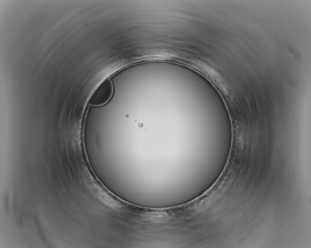 X0000111191186200907081250