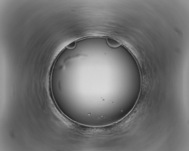 X0000111191187200907081250