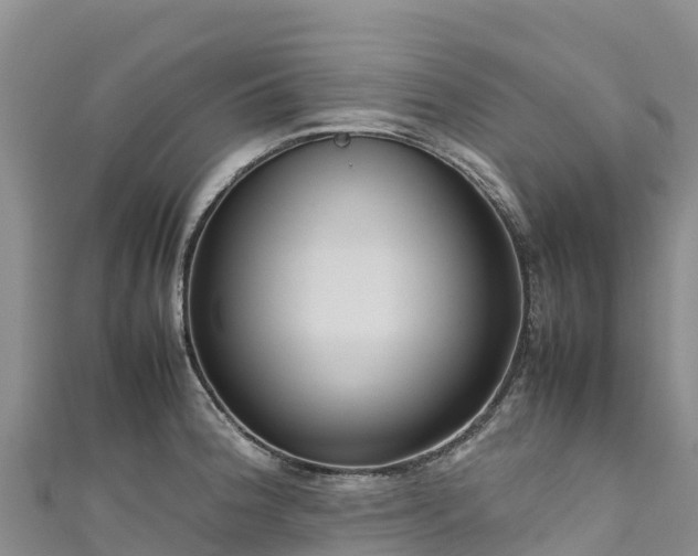 X0000111191188200907081250