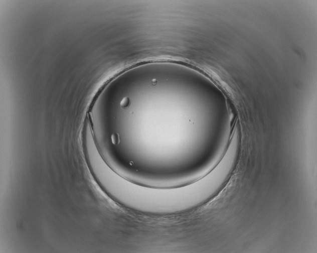 X0000111191189200907081250