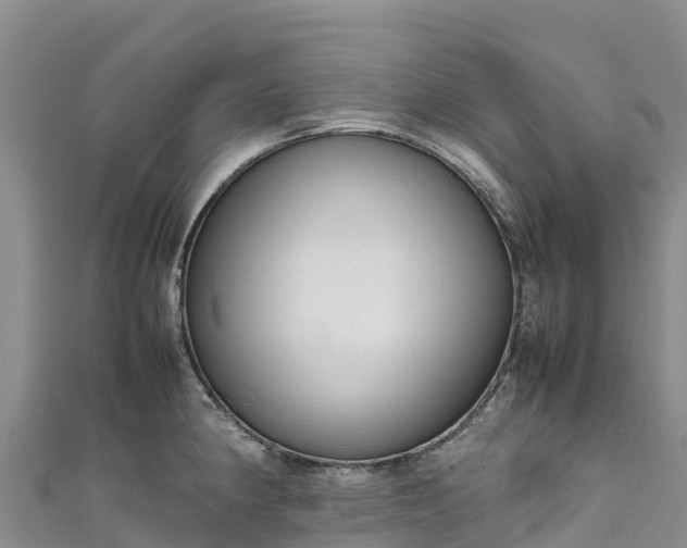 X0000111191190200907081250