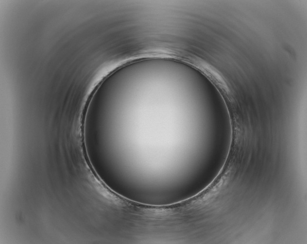 X0000111191192200907081250