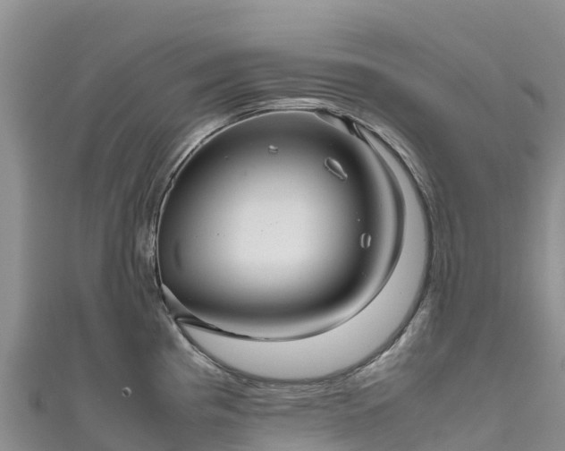 X0000111191193200907081249