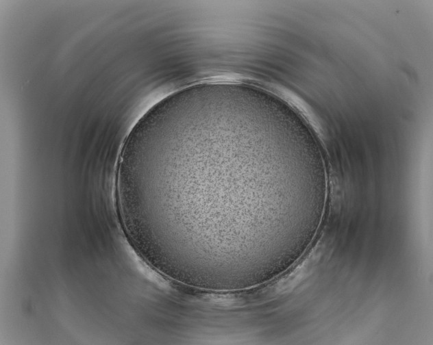 X0000111191194200907081249