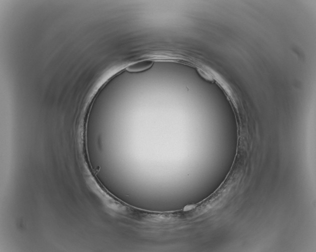 X0000111191195200907081249