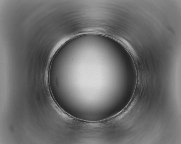 X0000111191196200907081249