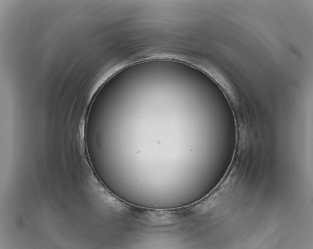 X0000111191198200907081249