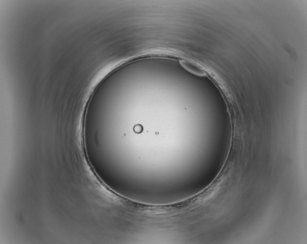 X0000111191199200907081249