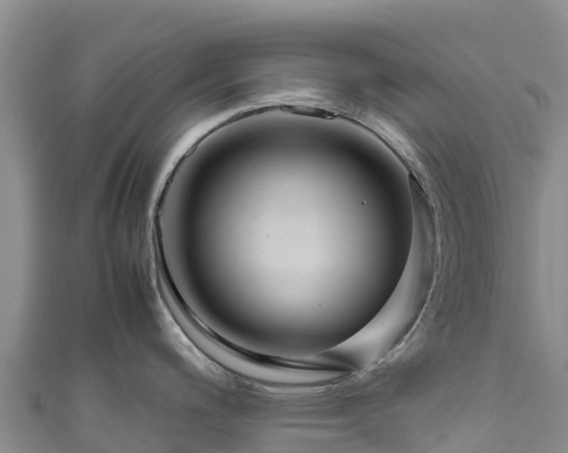 X0000111191200200907081249