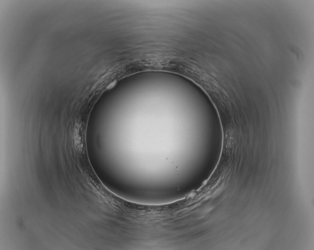 X0000111191202200907081249