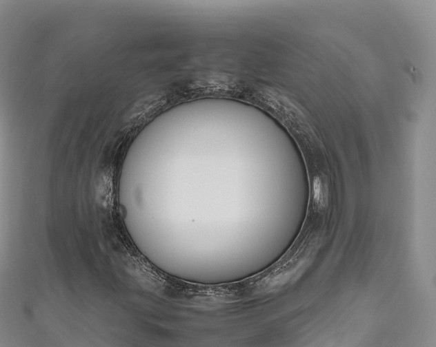 X0000111191203200907081249