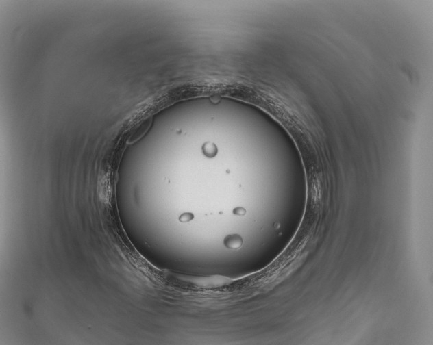 X0000111191204200907081249