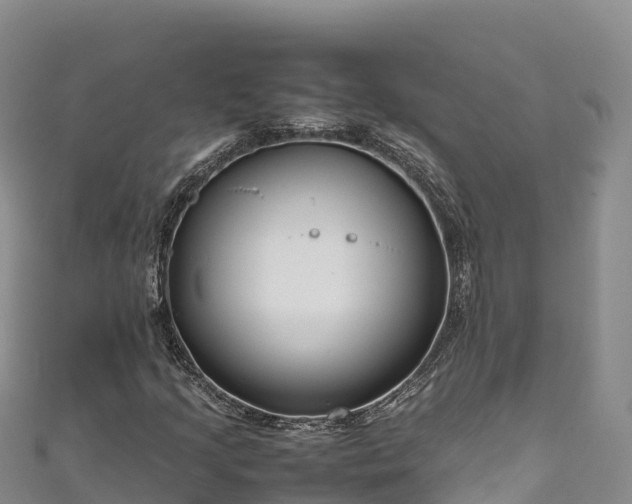 X0000111191205200907081249