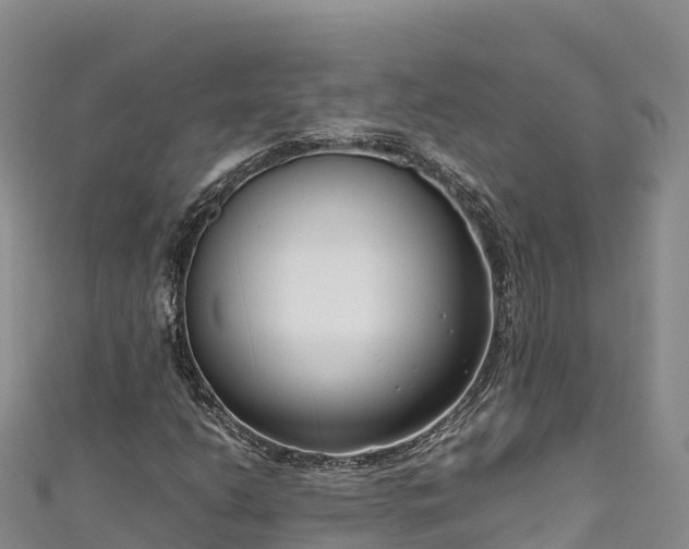 X0000111191206200907081249