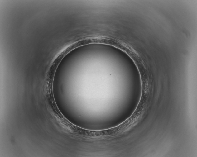 X0000111191208200907081249