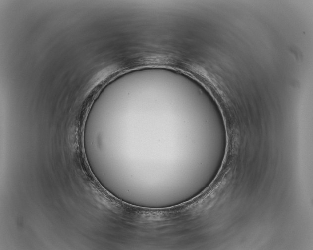 X0000111191211200907081249