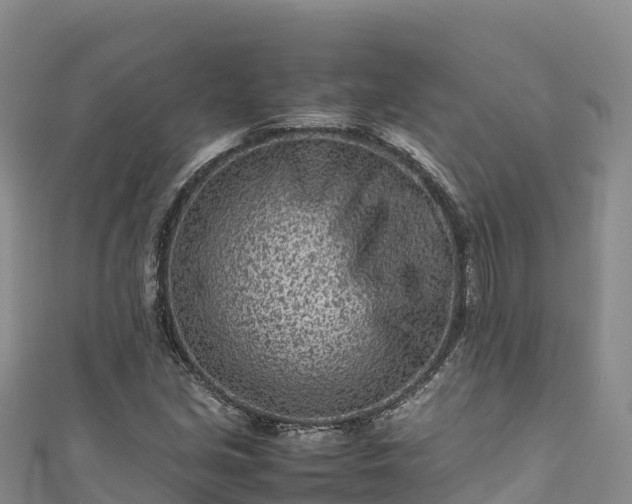 X0000111191213200907081249