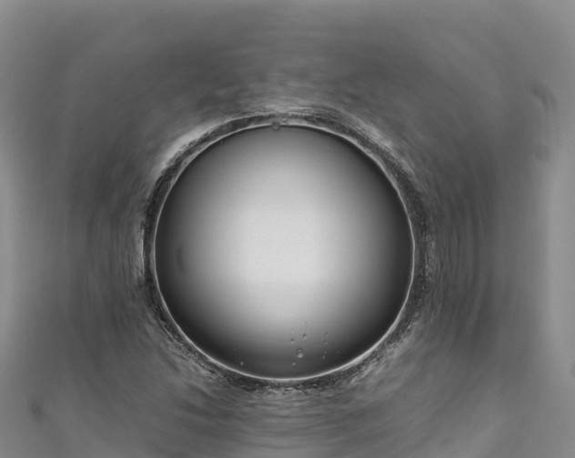 X0000111191214200907081249