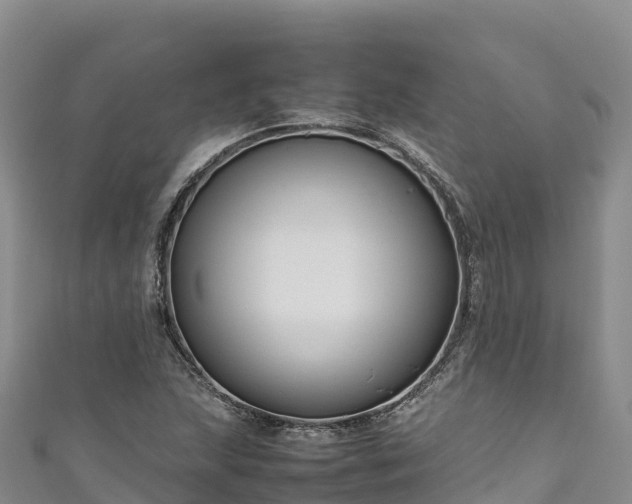 X0000111191215200907081249