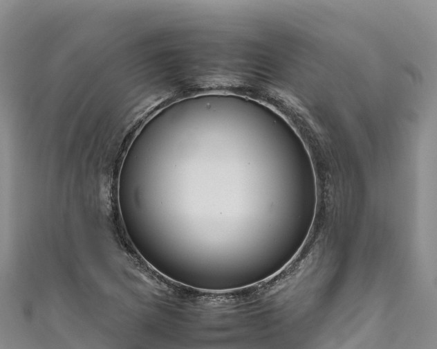 X0000111191217200907081249