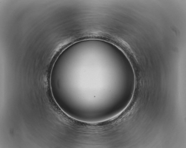 X0000111191218200907081249