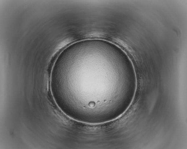 X0000111191219200907081249