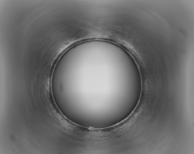 X0000111191220200907081249