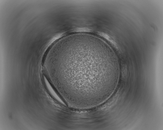 X0000111191221200907081249