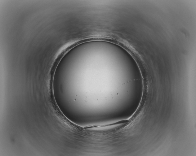 X0000111191222200907081249