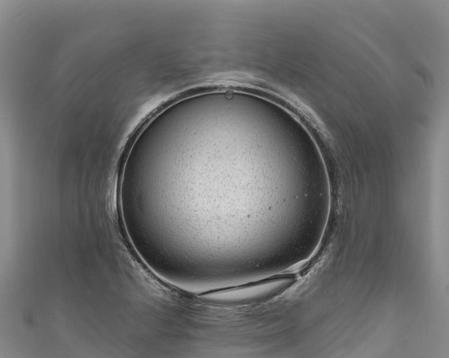 X0000111191224200907081249