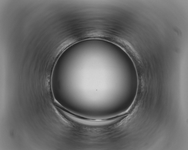 X0000111191225200907081249