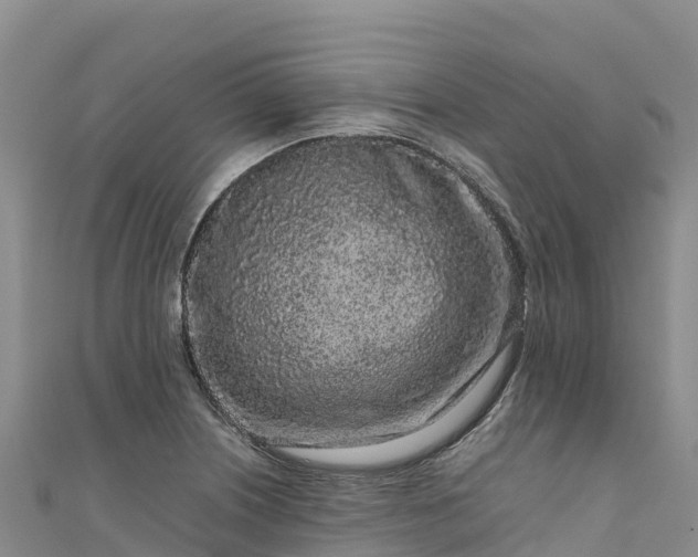 X0000111191226200907081249