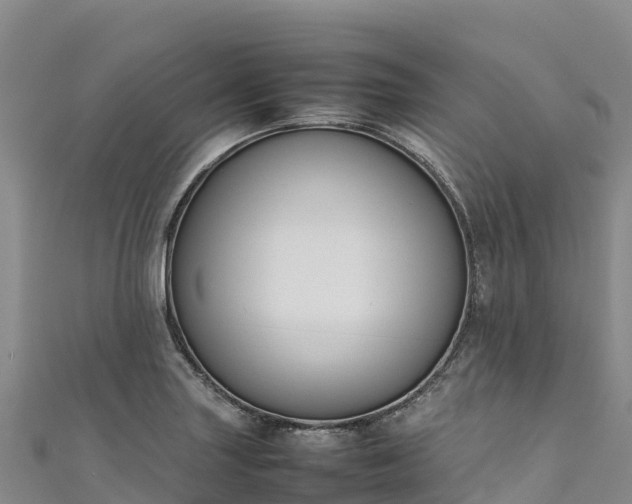 X0000111191227200907081249