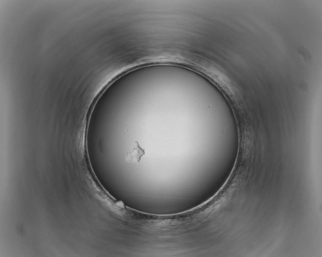 X0000111191228200907081249