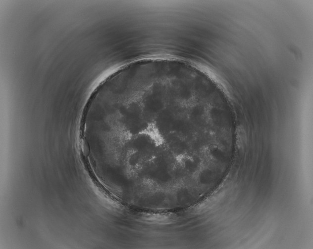 X0000111191229200907081249