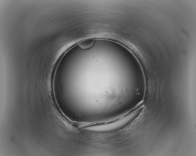 X0000111191230200907081249