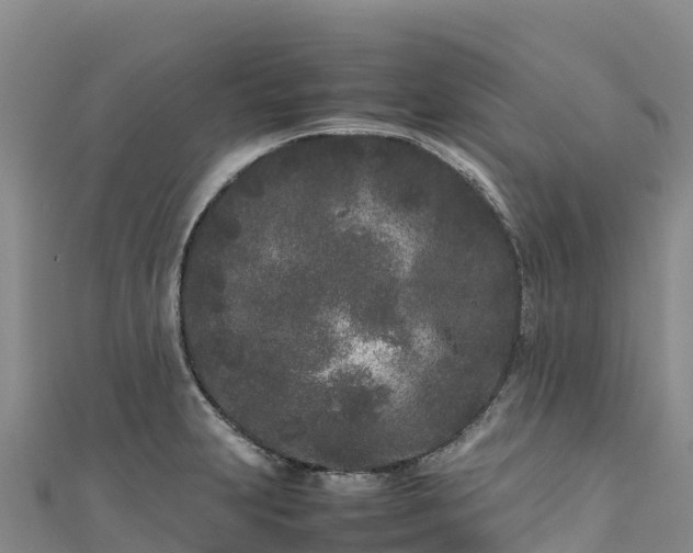 X0000111191231200907081249