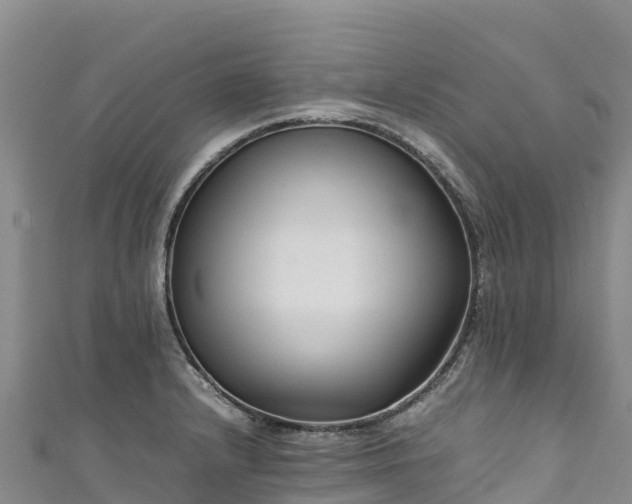 X0000111191232200907081249