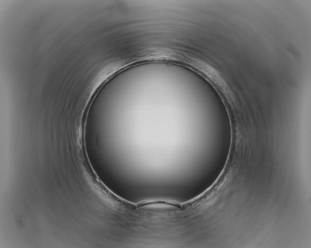 X0000111191234200907081249