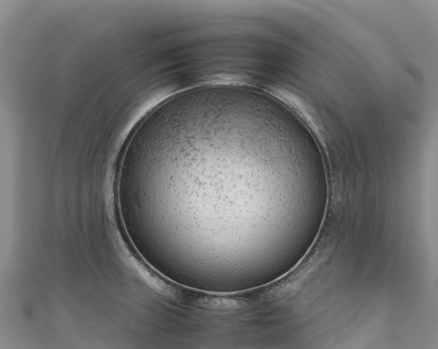 X0000111191235200907081249