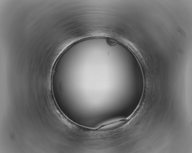 X0000111191236200907081249