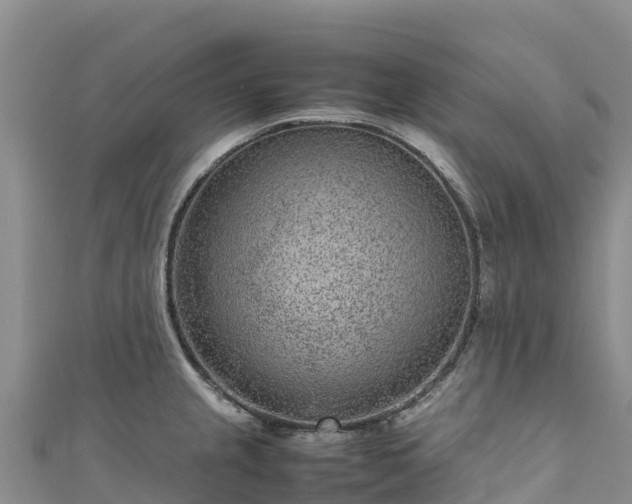 X0000111191237200907081249