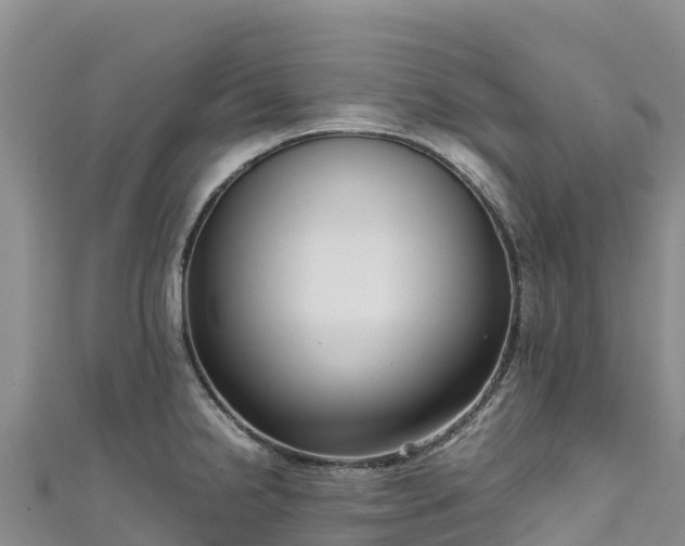 X0000111191238200907081249