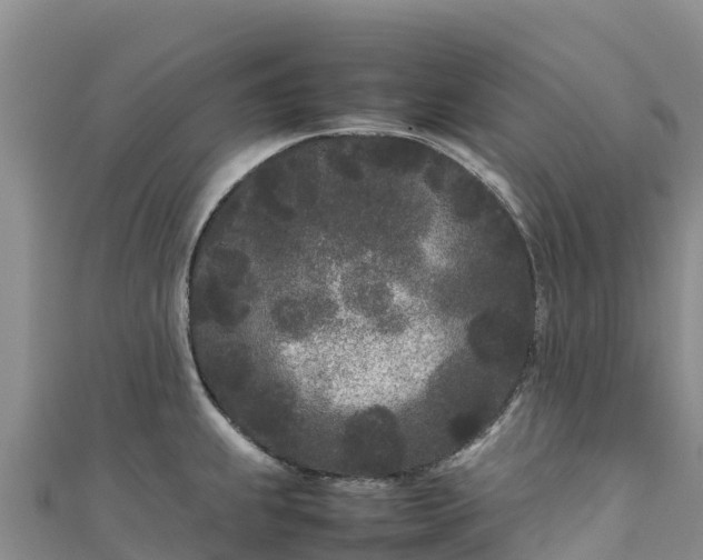 X0000111191239200907081249