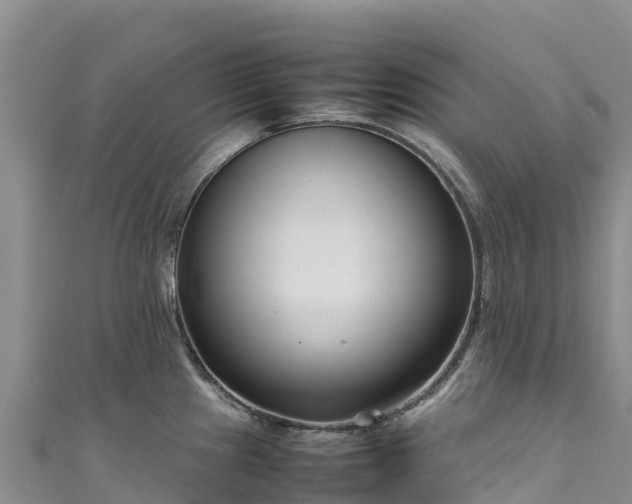 X0000111191241200907081249