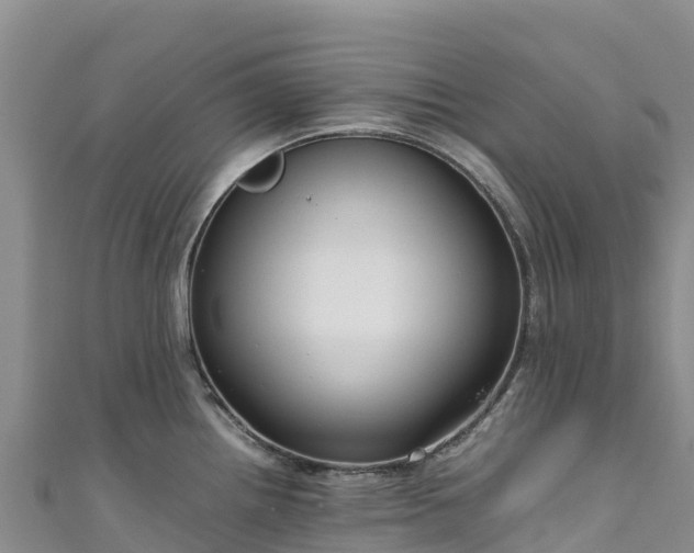 X0000111191242200907081249