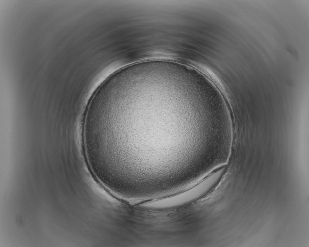 X0000111191243200907081249