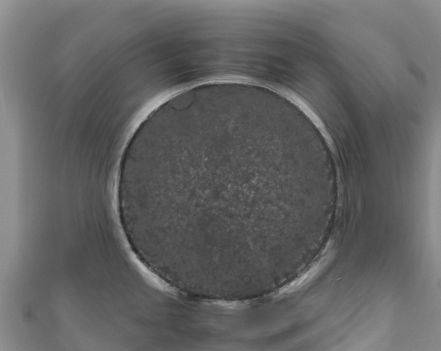 X0000111191245200907081249